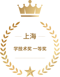 上海市科学手艺奖<br>一等奖